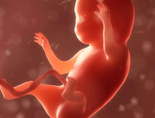 Doppler feto placentario